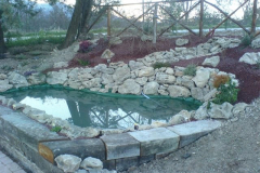 phoca_thumb_l_dsc00855